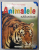 RECUNOASTETI ANIMALELE SALBATICE ,  ilustratii FERNANDO FERNANDEZ si FRANCISCO ARREDONDO , ANII '2000