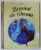 REGATUL DE GHEATA  , COLECTIA DISNEY  '' POVESTI DIN COLECTIA DE AUR '' , NR. 81 , 2019