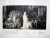 REGINA ELISABETA- FOTOGRAFIE ORIGINALA CU SEMNATURA OLOGRAFA SI DATATA 16/ 24 DEC 1913