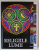 RELIGIILE LUMII , EDITIE IN LIMBA ROMANA , ALBUM CU TEXT SI FOTOGRAFII , 2008
