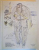 REPERTORIUL GRAFICII ROMANESTI DIN SECOLUL AL XX LEA de JEAN ALEXANDRU STERIADI 1880-1956 , VOL VII , 2012