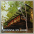 RESIDENTIAL ECO HOUSES , EDITIE MULTILINGVA , 2014