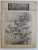 REVISTA CARPATII, VANATORE, PESCUIT, CHINOLOGIE, ANUL XIV ,  15 IULIE CLUJ 1946, NR. 7