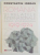 ROMANIA SI RELATIILE INTERNATIONALE DIN SUD - ESTUL EUROPEAN : PROBLEME ALE PACII , SECURITATII SI COOPERARII ( 1919 - 1924 ) de CONSTANTIN IORDAN , 1999