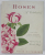 ROSES , A CELEBRATION , THIRTY - THREE EMINET GARDENERS ON THEIR FAVORITE ROSE , edited by WAYNE WINTERROWD , original paintings by PAMELA STAGG , 2003