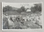 SARMISEGETUZA , FOTOGRAFIE DE GRUP , FORMAT CARTE POSTALA , 1937