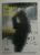 SAUL LEITER - FOREVER , ALBUM DE FOTOGRAFIE , THE WORLD OF SAUL LEITER , 2021