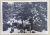 SCOALA CENTRALA DE FETE DIN BUCURESTI , 1890 , ARHITECT ION MINCU , GRADINA MARE  , CARTE POSTALA , INTERBELICA