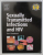 SEXUALLY TRANSMITTED INFECIONS AND HIV by DAN CLUTTERBUCK , 2004