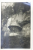 SIHLA , BISERICA DINTR - UN BRAD , FOTOGRAFIE TIP CARTE POSTALA , 1932