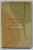 SOMETHING SPECIAL , A SHORT STORY by IRIS MURDOCH , 1999