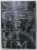 SPICILEGIUM , STUDII SI ARTICOLE IN ONOAREA PROF.  CORINA POPA , 2015
