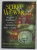 SPIRIT WEAVER by SEREN BERTRAND , WISDOM TEACHINGS FROM THE FEMININE PATH OF  MAGIC , 2022
