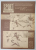 SPORT , REVISTA ILUSTRATA LUNARA A C.N.E.F.S. , NR. 9 , SEPTEMBRIE , 1983