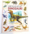 STIINTA SI NATURA , DINOZAURII de ANNE MCCORD , 1998