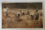 TARANI LA COSITUL FANULUI , ZONA FAGARAS , FOTOGRAFIE FORMAT CARTE POSTALA , INTERBELICA