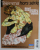 TELERAMA , HORS - SERIE : KLIMT , KOKOSCHKA , SCHIELE , MOSER , SEPTEMBRE , 2005