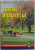 TESTUL ARBORELUI de DENISE DE CASTILLA , 2001