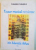 TEZAUR MUZICAL ROMANESC DIN MUNTELE ATHOS, VOL. II de VASILE VASILE, 2008
