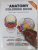 THE ANATOMY COLORING BOOK by WYNN KAPIT / LAWRENCE M. ELSON , 2014