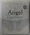 THE ANGEL EXPERIENCE by HAZEL RAVEN , 2015 , CD INCLUS *