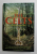 THE CELTS by PETER BERRESFORD , 2003