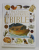 THE CHILDREN 'S ILLUSTRATED BIBLE , stories by SELINA HASTINGS , illustrated by ERIC THOMAS , 1994