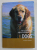 THE COMPLETE ENCYCLOPEDIA OF DOGS by ESTHER VERHOEF , 2009