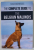 THE COMPLETE GUIDE TO THE BELGIAN MALINOIS by TARAH SCHWARTZ , 2020
