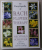 THE ENCYCLOPEDIA OF BACH FLOWER THERAPY by MECHTHILD SCHEFFER , 2001