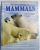 THE ENCYCLOPEDIA OF MAMMALS , 1999