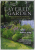 THE LAYERED GARDEN , DESIGN LESSONS FOR YEAR - ROUND BEAUTY FROM  BRANDWINE COTTAGE by DAVID L. CILP with ADAM LEVINE , photographs by ROB CARDILLO , 2012
