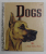 THE LITTLE GOLDEN BOOK OF DOGS  by NITA JONAS , pictures by TIBOR GERGELY , 1982