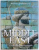 THE MIDDLE EAST  - THE CRADLE OF CIVILIZATION REVEALED , chief consultant STEPHEN BOURKE , 2008 , CONTINE CD*