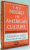 THE NEGRO IN AMERICAN CULTURE by MARGARET JUST BUTCHER , 1969