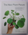 THE NEW PLANT PARENT by DARRYL CHENG - DEVELOP YOUR GREEN THUMB AND CARE FOR YOUR HOUSE - PLANT FAMILY , 2019