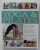 THE PRACTICAL ENCYCLOPEDIA OF YOGA and PILATES by FRANCOISE BARBIRA ...JUDY SMITH , 2016