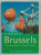 THE ROUGH GUIDE TO BRUSSELS,  2001