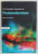 THE ROUTLEDGE COMPANION TO POSTMODERNISM by STUART SIM , 2005 PREZINTA SUBLINIERI *