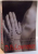 THE SELECTED WORKS OF , 2005