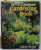 THE ST . MICHAEL ALL COLOUR GARDENING BOOK , edited by PETER HUNT , 1975