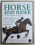 THE ULTIMATE BOOK OF THE HORSE AND RIDER by JUDITH DRAPER ....SARAH MUIR , 2009