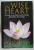 THE WISE HEART , A GUIDE TO THE UNIVERSAL TEACHINGS OF BUDDHIST PSYCHOLOGY by JACK  KORNFIELD , 2008