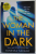 THE WOMAN IN THE DARK by VANESA SAVAGE , 2019