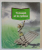 TI - JOSEPH ET LE CYCLONE par MARIE - JOSEE BARRE , illustre par JEAN CLAVERIE , ANII '80