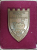 TITU, TARGOVISTE, 1884 - 1984, CFR, PLACHETA ANIVERSARA DIN BRONZ