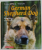 TRAINING YOUR GERMAN SHEPHERD DOG by DAN RICE , 2010
