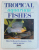 TROPICAL AQUARIUMM FISHES  - HOW TO KEEP FRESHWATER FISH by DICK MILLS , 1988
