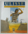 ULISSE , LE ASTUZIE E IL CORAGGIO DI UN INDOMABILE , testo di CHIARA GUARDUCCI , illustrazioni ALESSANDRO POLUZZI , 2004, TEXT IN LIMBA ITALIANA