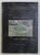 ULPIA TRAIANA SARMIZEGETUSA - AMFITEATRUL , VOLUMUL  I de DORIN ALICU , 1997